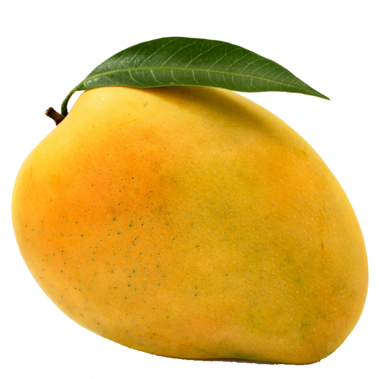 250-275 gms "King A1" Premium Authentic Devgad Alphonso Mangoes