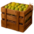 250-275 gms "King A1" Premium Authentic Devgad Alphonso Mangoes Peti - 5 Dozen